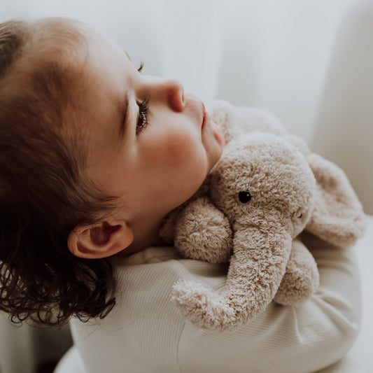 Vacature Sales & Marketing Medewerker Flow Amsterdam