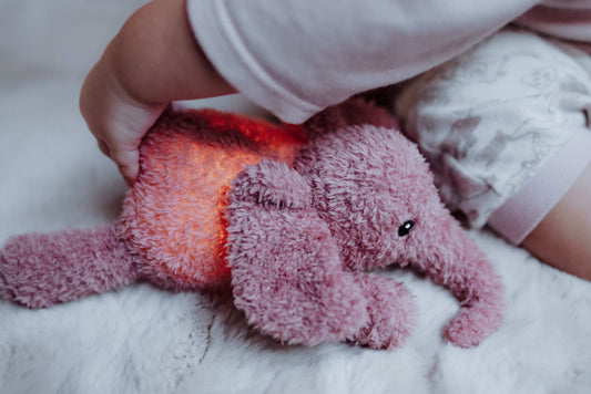 Product Developer (32-40 uur)