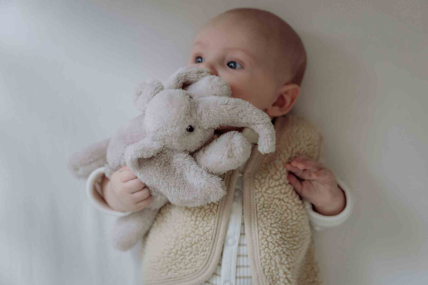 George (blush)- Knuffellampje