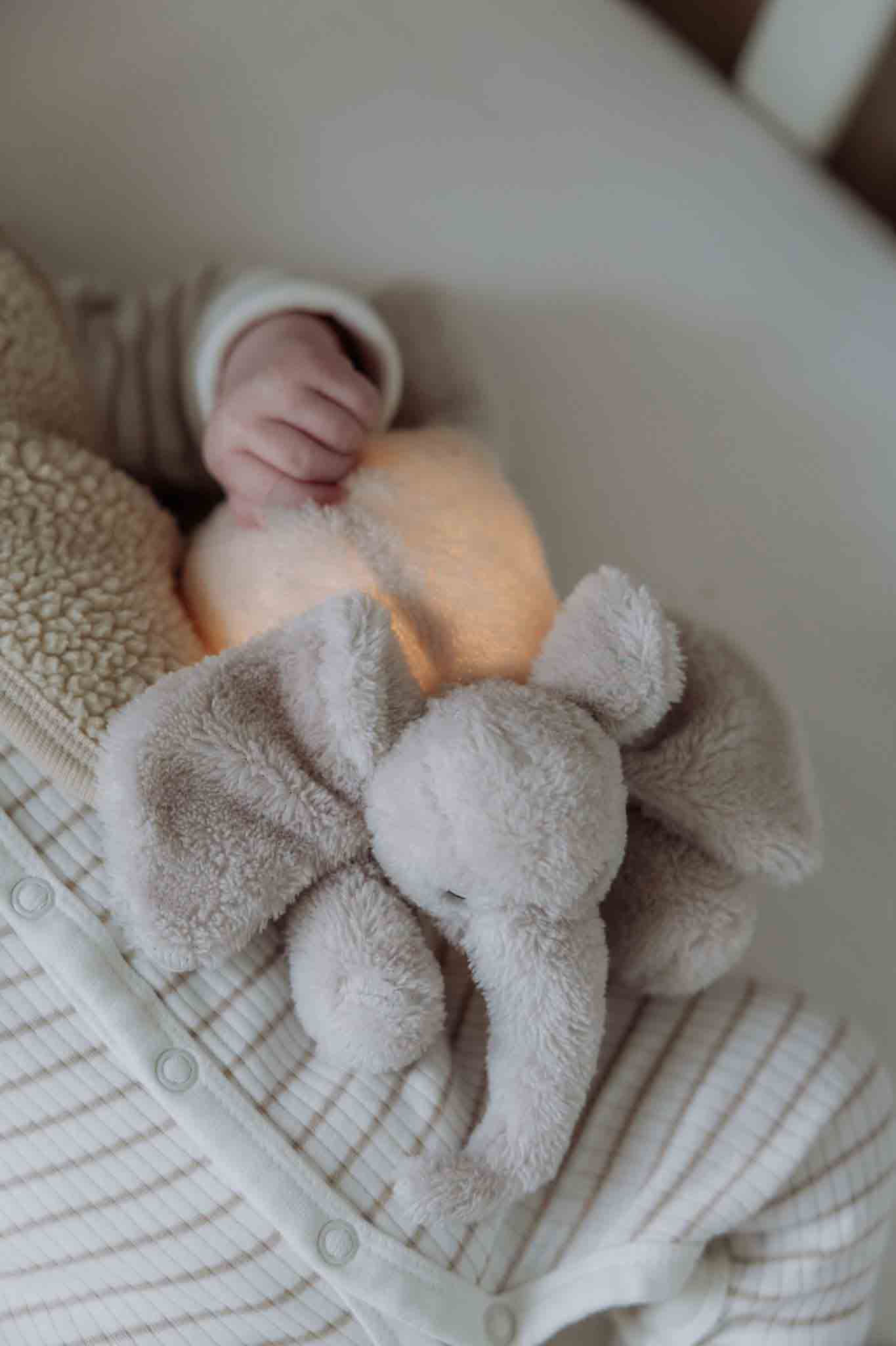 George (blush)- Knuffellampje