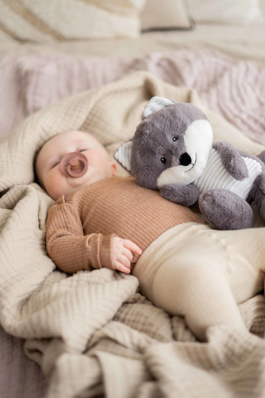 Robin (grey) - Heartbeat comforter